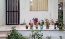 ویلای جنگلی کلاچای ویلای جنگلی کلاچای