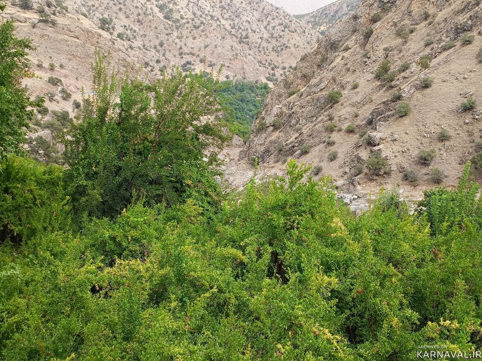 اقامتگاه دوخوابه لاوان