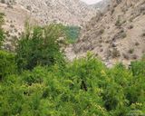 اقامتگاه دوخوابه لاوان اقامتگاه دوخوابه لاوان