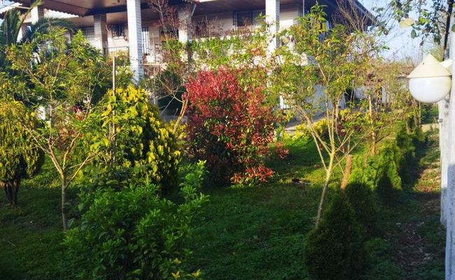 ویلای دنج با ویوی کوه و جنگل ویلای دنج با ویوی کوه و جنگل