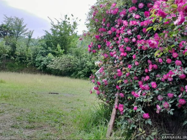 باغ ویلای نیمپیلوت دو خوابه در طبیعتی دنج باغ ویلای نیمپیلوت دو خوابه در طبیعتی دنج