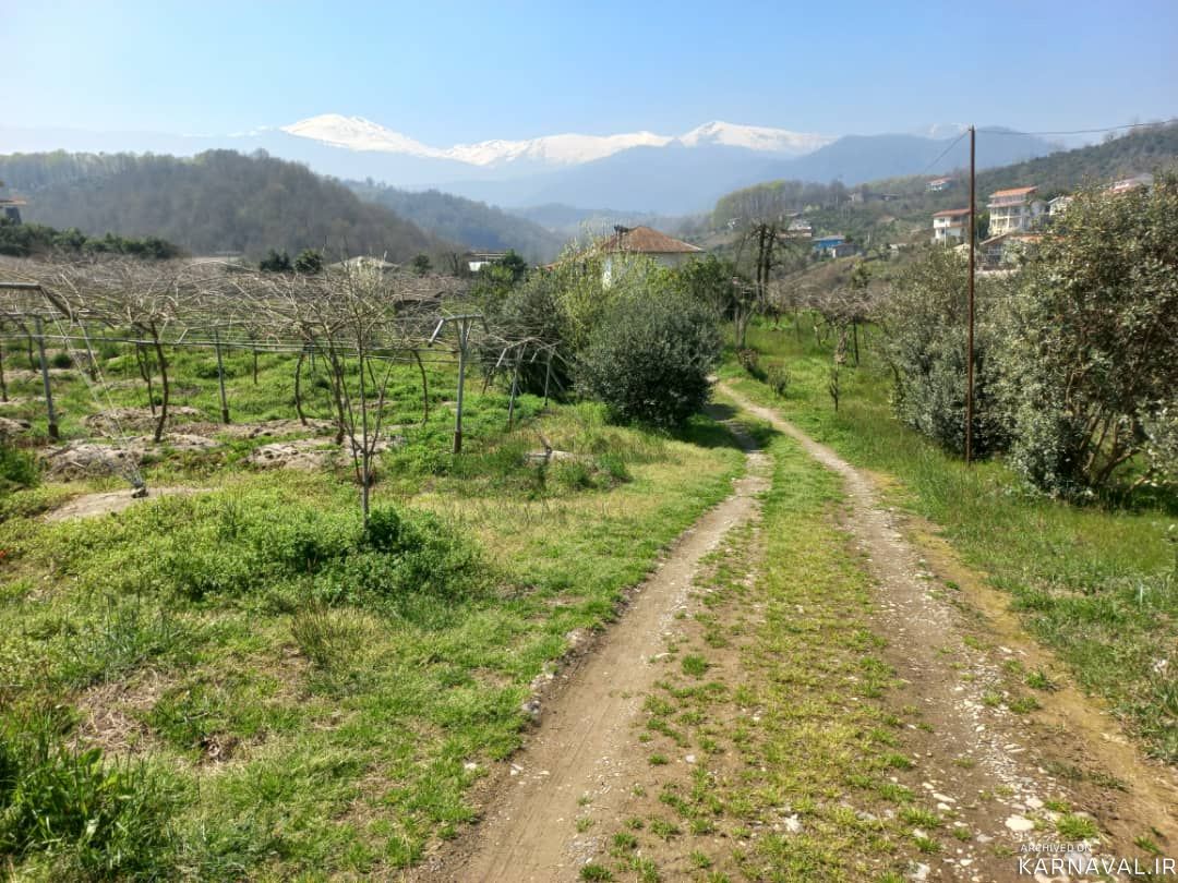 خونه باغ دنج و ساکت با محیطی سرسبز خونه باغ دنج و ساکت با محیطی سرسبز