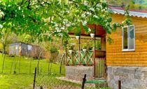 باغ ویلای تک خواب جنگلی دربست باغ ویلای تک خواب جنگلی دربست