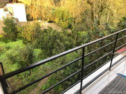 تک خواب مبله با ویو جنگل تک خواب مبله با ویو جنگل