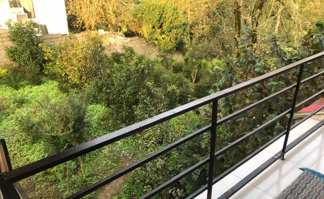 تک خواب مبله با ویو جنگل تک خواب مبله با ویو جنگل