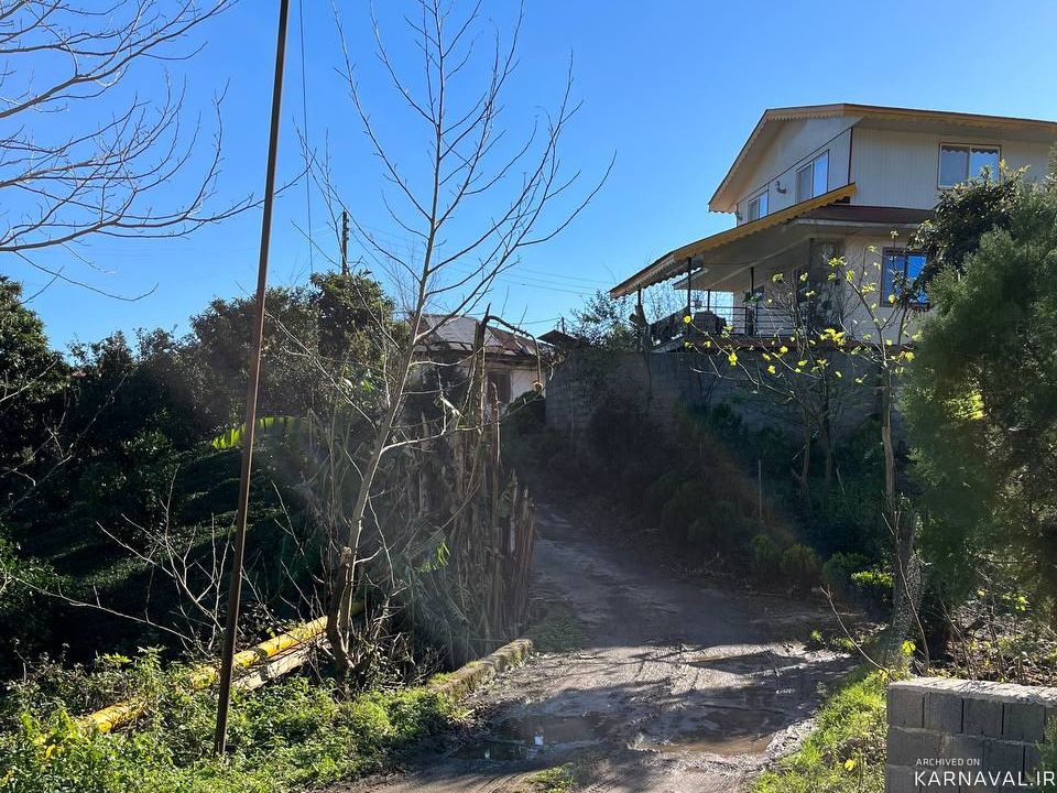 تک خواب مبله با ویو جنگل