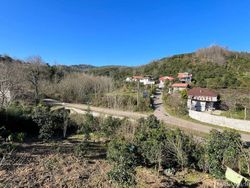 تک خواب مبله با ویو جنگل تک خواب مبله با ویو جنگل