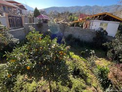 تک خواب مبله با ویو جنگل تک خواب مبله با ویو جنگل