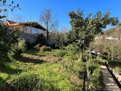 تک خواب مبله با ویو جنگل تک خواب مبله با ویو جنگل