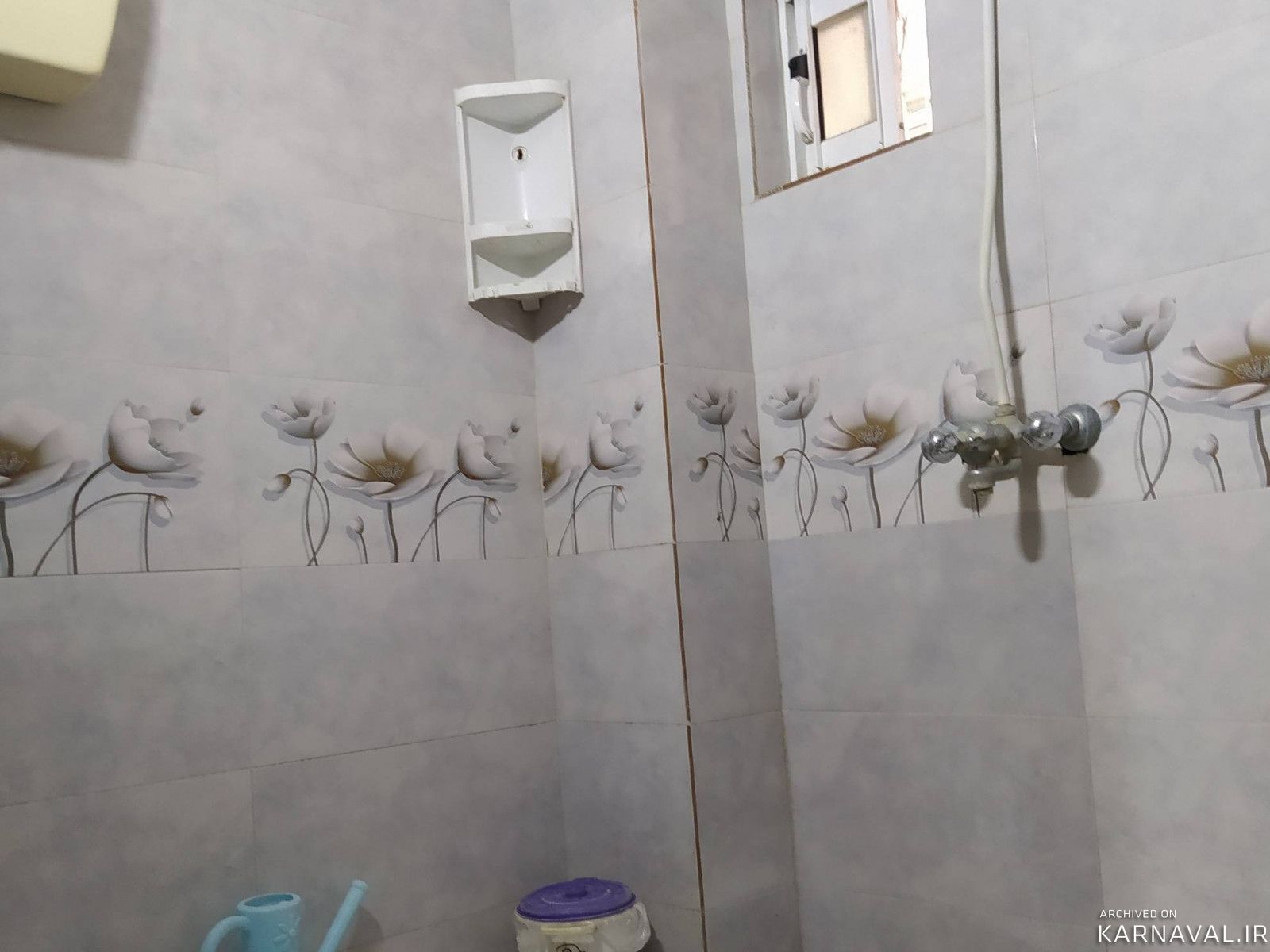 مجتمع ساحلی دریائی (2)