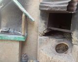 ویلای دو خواب با ساختار قدیمی ویلای دو خواب با ساختار قدیمی