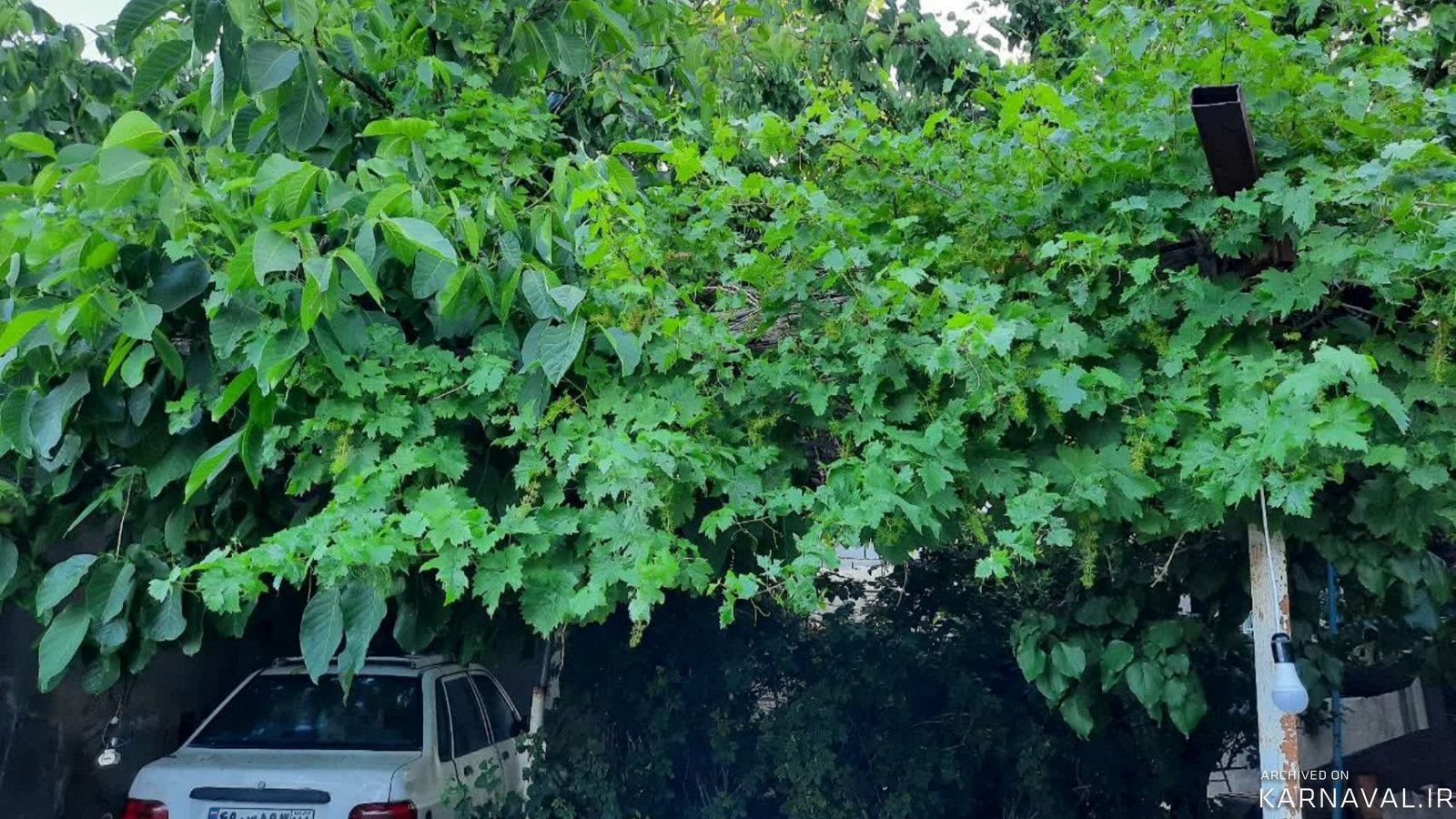 ویلای تک خواب، غار علیصدر ویلای تک خواب، غار علیصدر