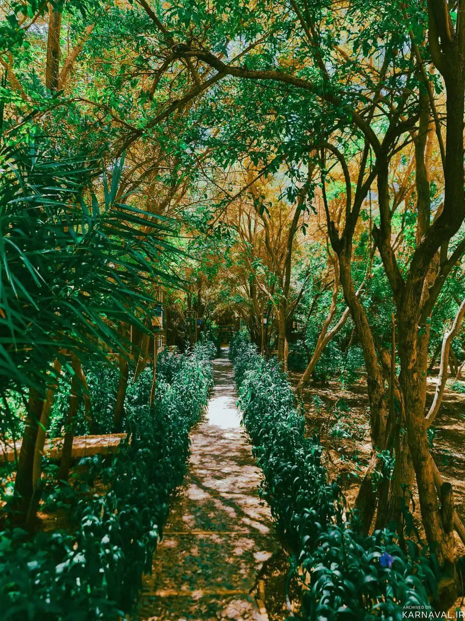 هتل باغ مشیر الممالک یزد هتل باغ مشیر الممالک یزد