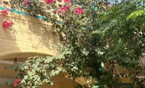 هتل پارسیان یزد هتل پارسیان یزد