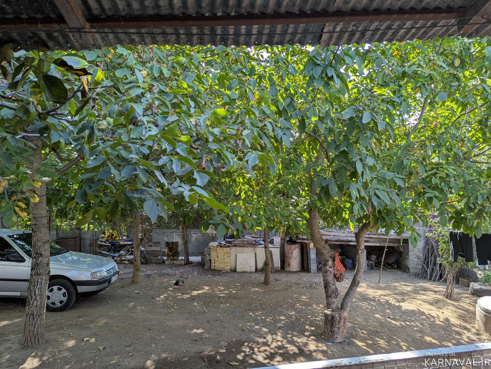 ویلای تک خوابه "روژا" ویلای تک خوابه "روژا"