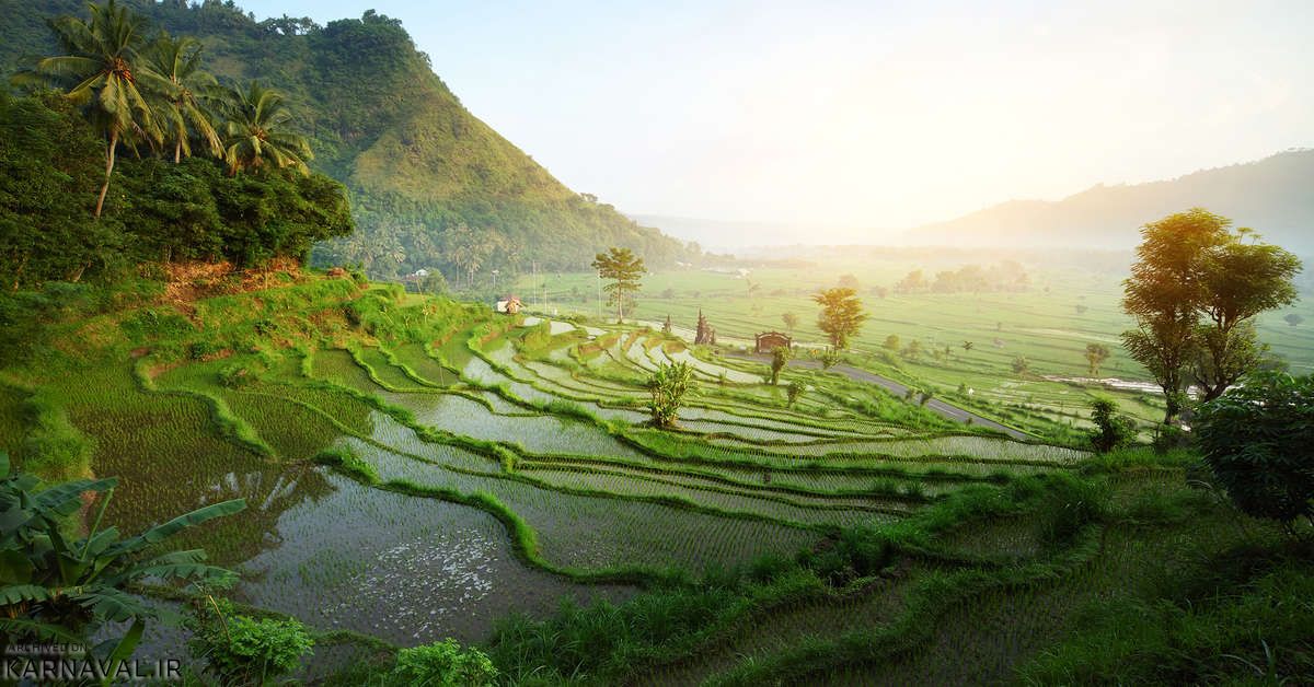 تور تهران به بالی