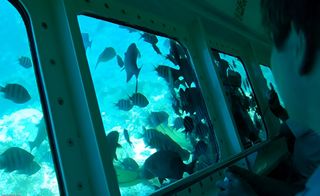 کشتی تفریحی آکواریوم کف شیشه ای کیش کشتی تفریحی آکواریوم کف شیشه ای کیش