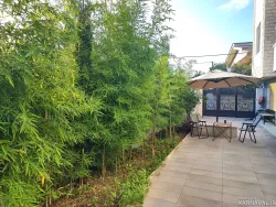 هتل آپارتمان مبله ساحلی روماک (واحد 3) نشتارود هتل آپارتمان مبله ساحلی روماک (واحد 3) نشتارود