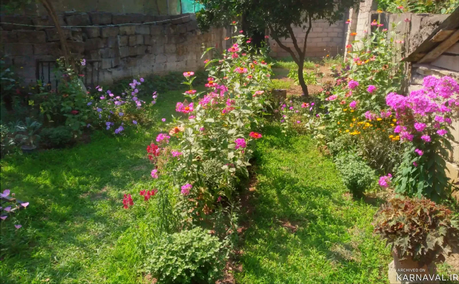 ویلا رزمجوی ماسال