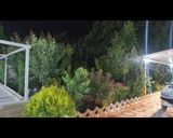 ویلای استخر دار و جکوزی مسیحا ویلای استخر دار و جکوزی مسیحا