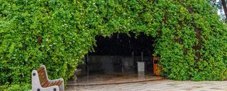 هتل فلامینگو کیش هتل فلامینگو کیش