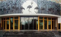 هتل فلامینگو کیش هتل فلامینگو کیش