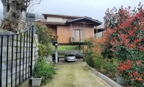 کلبه جنگلی باران رامسر کلبه جنگلی باران رامسر