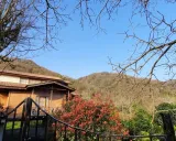 کلبه جنگلی باران رامسر کلبه جنگلی باران رامسر