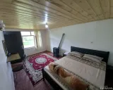 کلبه جنگلی آرامش تالش کلبه جنگلی آرامش تالش