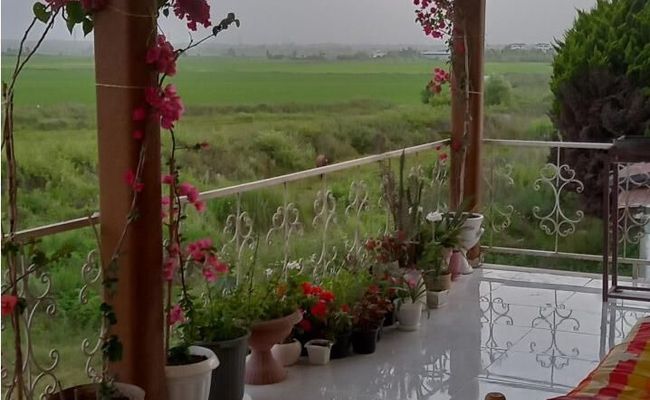 ویلای دوبلکس با چشم انداز جنگل ویلای دوبلکس با چشم انداز جنگل