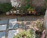 "ویلای تک خوابه ساروکلا" "ویلای تک خوابه ساروکلا"