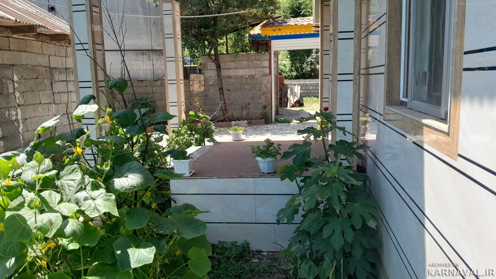 ویلای شادی