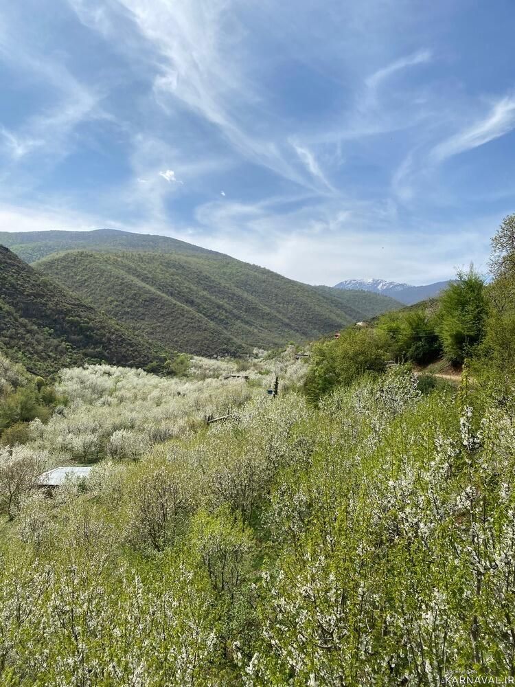 کلبه سوئیسی ایواز