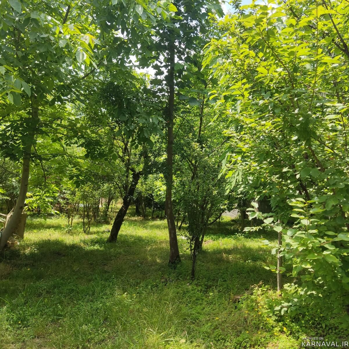 باغ ویلای جنگلی کنار رودخانه اختصاصی حمید باغ ویلای جنگلی کنار رودخانه اختصاصی حمید