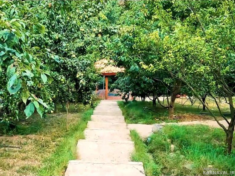 ویلای ییلاقی در دل جنگل های کجور