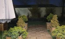عمارت فوق مدرن آقای خاص عمارت فوق مدرن آقای خاص