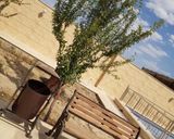 باغ ویلای شمشاد باغ ویلای شمشاد