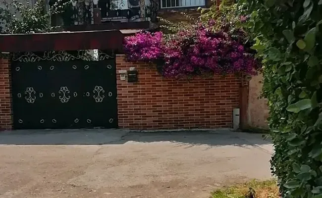 ویلا گل کاغذی کلارآباد ویلا گل کاغذی کلارآباد