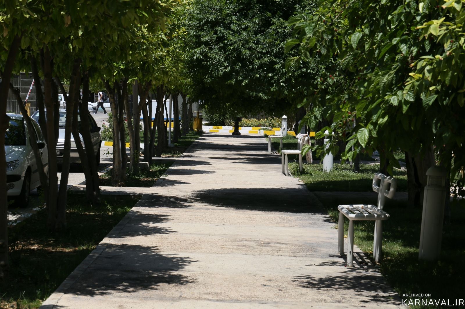 هتل جهانگردی شیراز