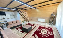 کلبه سوئیسی آنیل شاندرمن کلبه سوئیسی آنیل شاندرمن