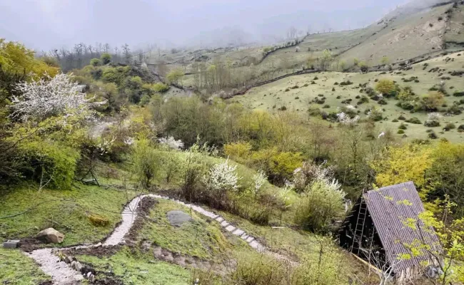 کلبه جنگلی هراز لاویج چمستان کلبه جنگلی هراز لاویج چمستان