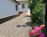 ویلا گل کاغذی کلارآباد ویلا گل کاغذی کلارآباد